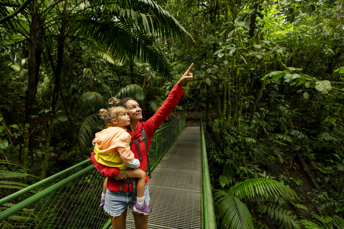 A mother holding her toddler and pointing into a lush rainforest canopy